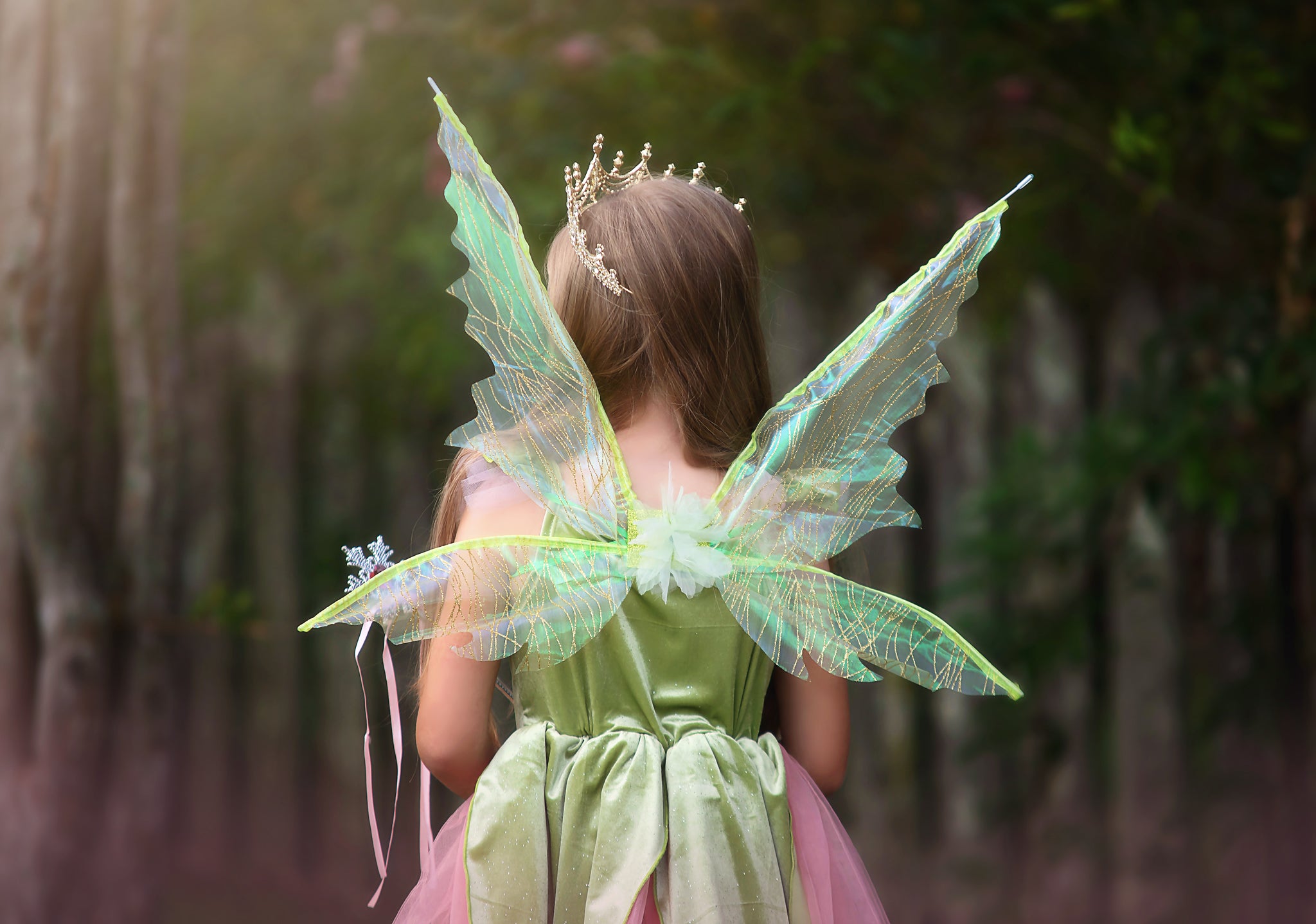 FANCIFUL FAIRY DRESS & WING SET