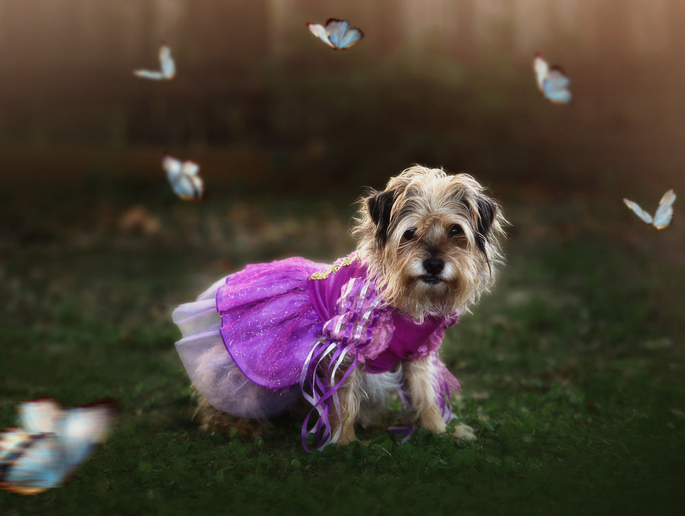 DUCHESS FIFI DOG COSTUME