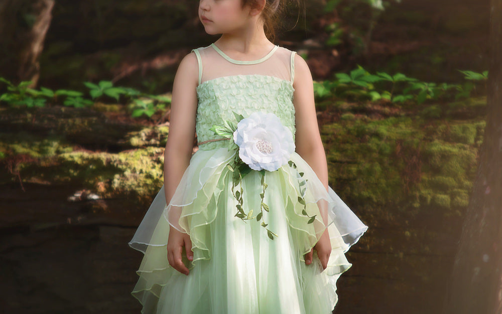 FROG PRINCESS GOWN & BELT SET