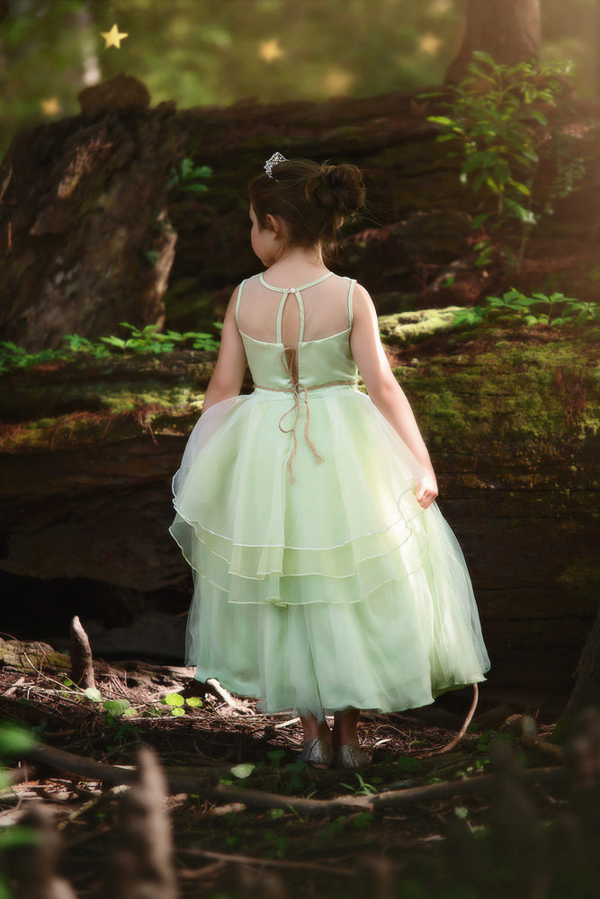 FROG PRINCESS GOWN & BELT SET