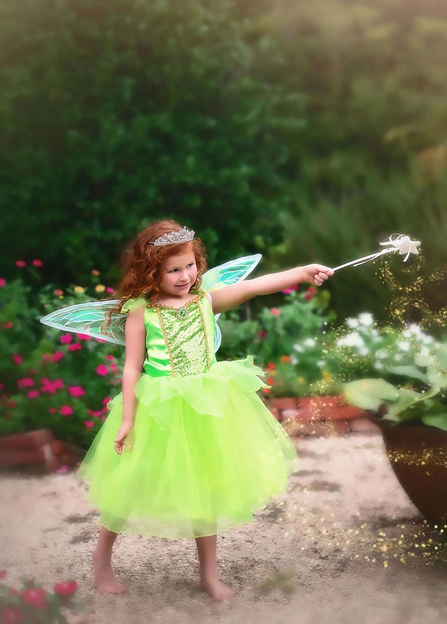 ENCHANTED FAIRY DRESS & WING SET