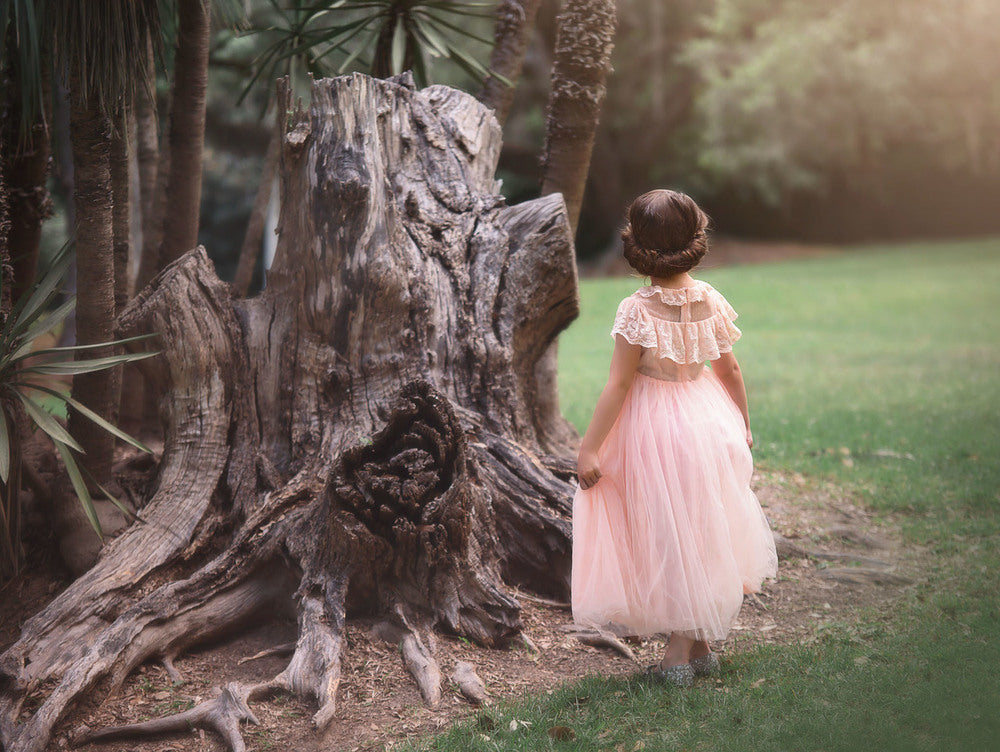 GIOVANNA GOWN PINK