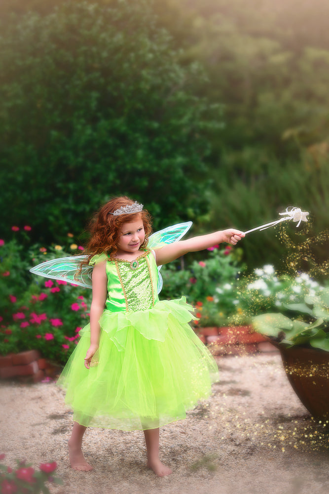 ENCHANTED FAIRY DRESS & WING SET