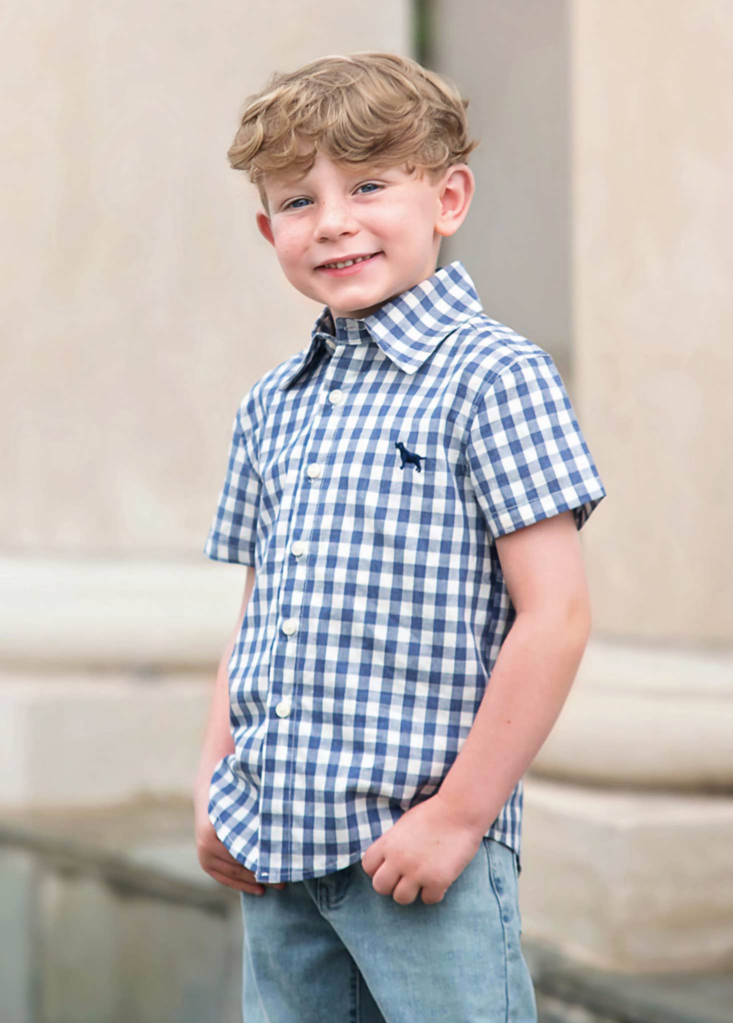 ALLISTER BUTTON DOWN NAVY GINGHAM