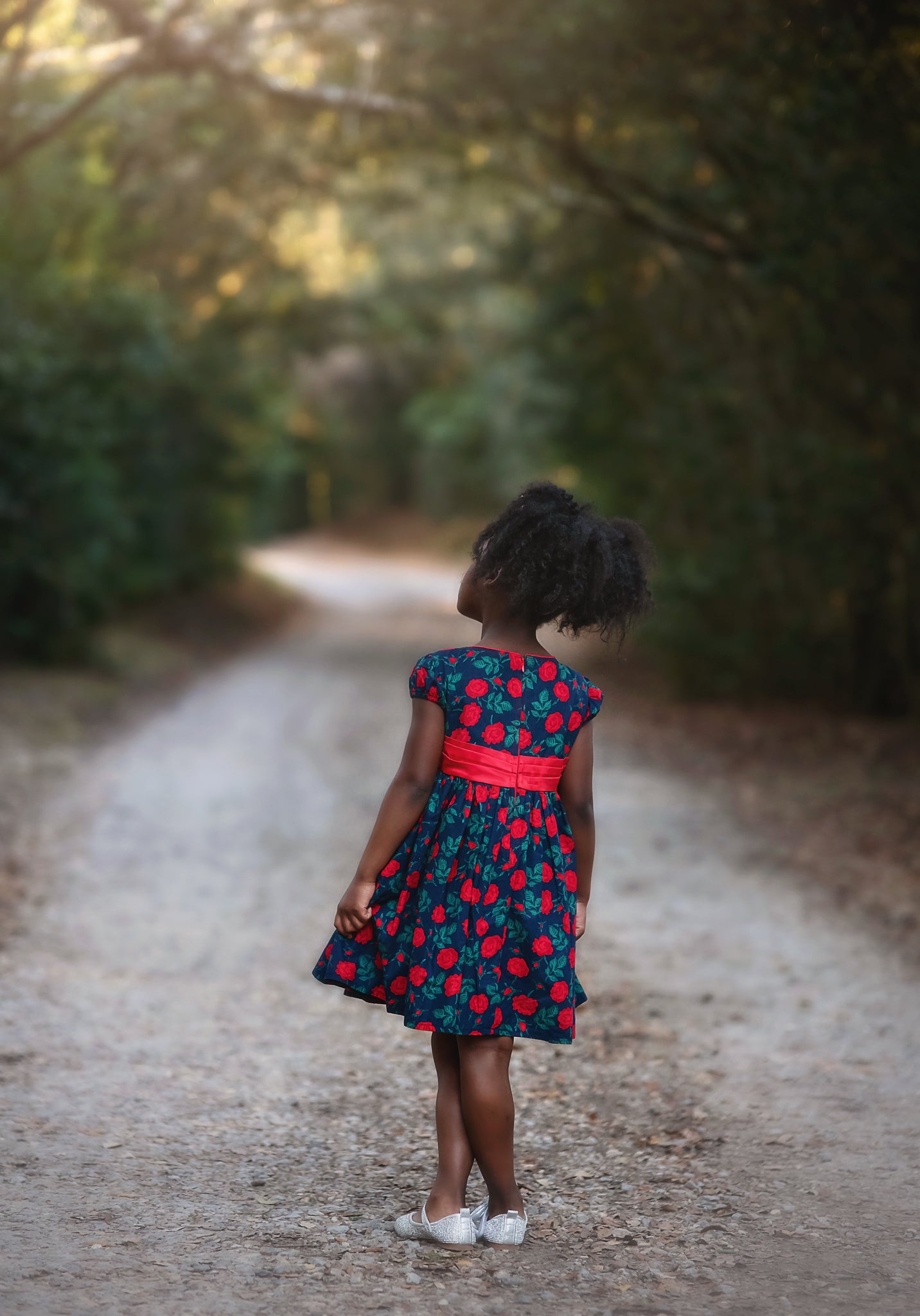 ISLA DRESS NAVY ROSE FLORAL