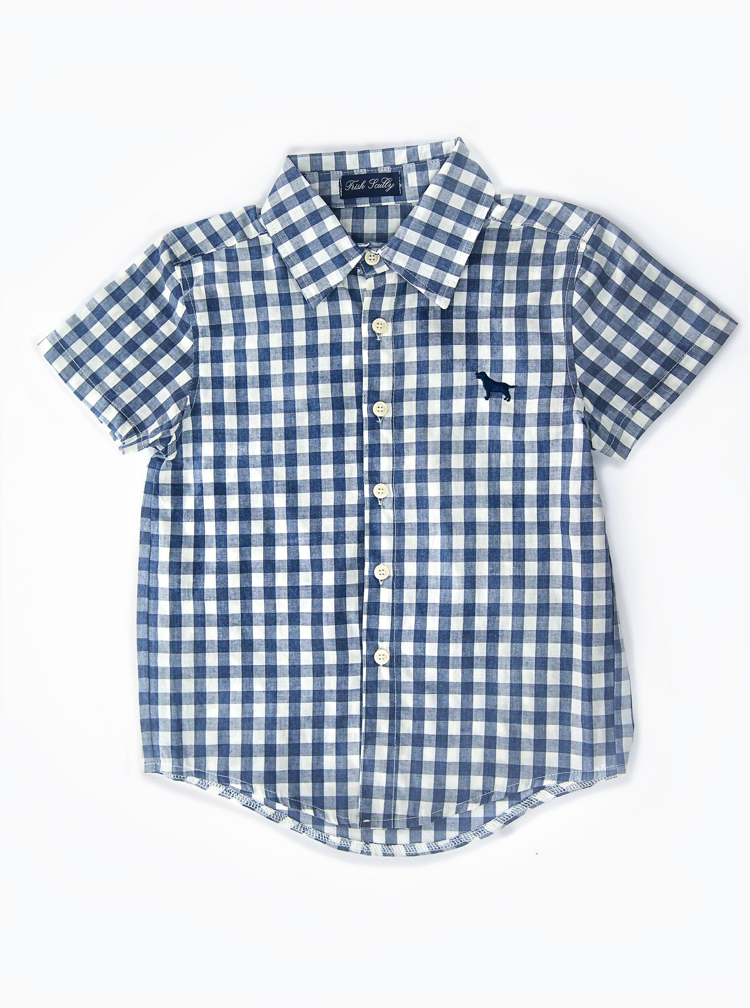 ALLISTER BUTTON DOWN NAVY GINGHAM