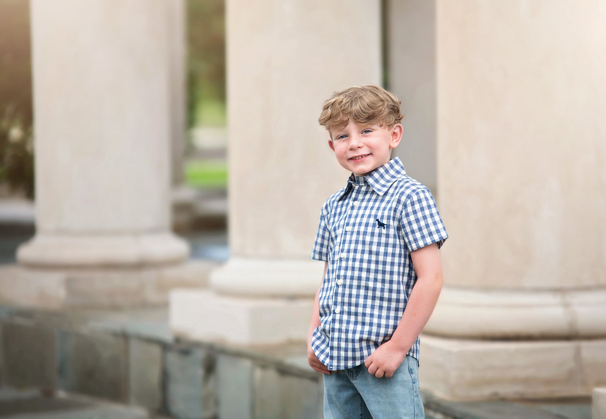 ALLISTER BUTTON DOWN NAVY GINGHAM